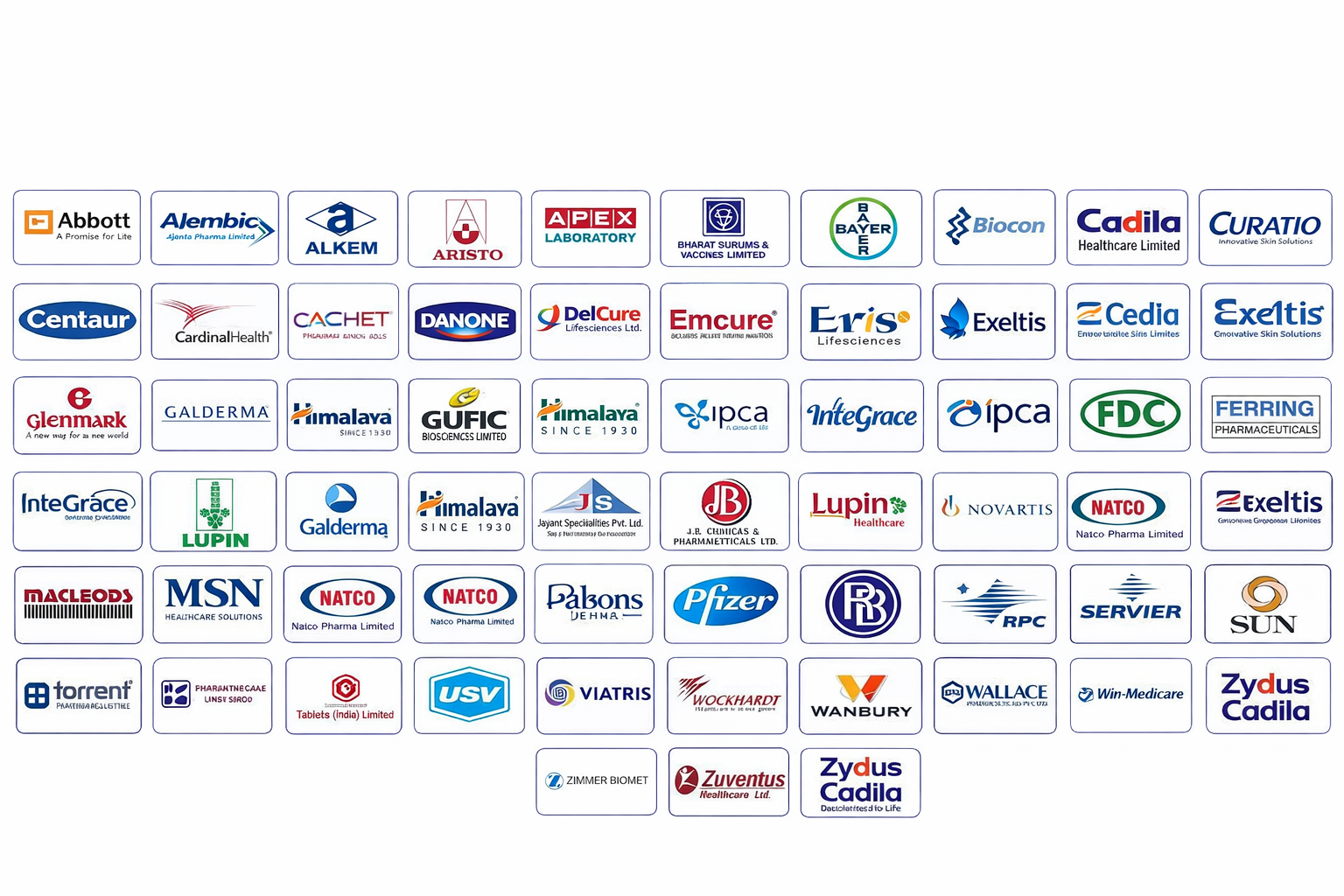 Techizer Partners - Leading Pharmaceutical Companies including Pfizer, Cipla, Dr Reddy, Sun, Lupin, GSK and more